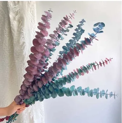 Preserved Eucalyptus & Dried Flowers aesthetic room decor under 100